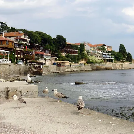 Apartman Zoya Napospart